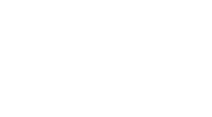 ZUI（ズイ）